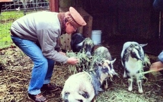 Mitch and the Stargrove goats