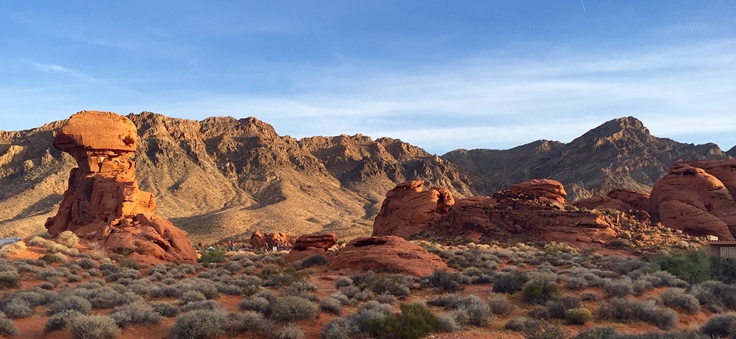 desert, by Lori Stargrove
