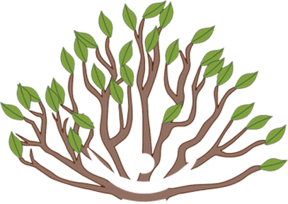 A WellSpring of Natural Health, PC