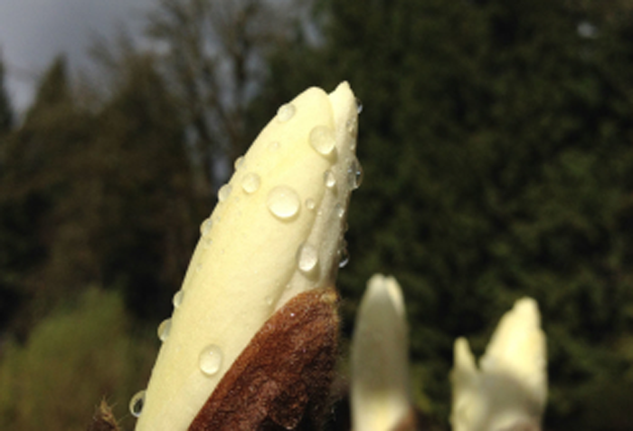 Mitch Stargrove, Lori Stargrove, Sara Snyder