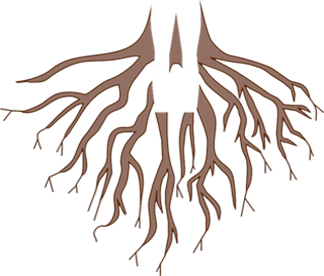 A WellSpring of Natural Health, PC